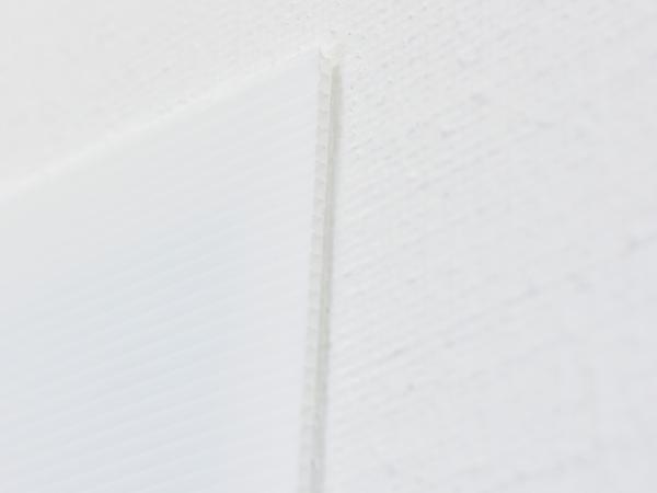 Hohlkammerplakat A0 Sonderformat mit Weißrand